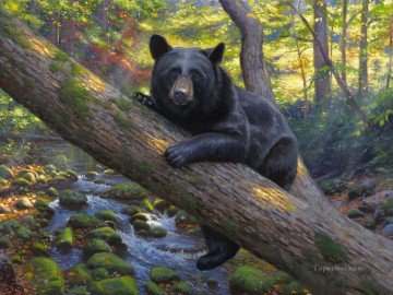 oso perezoso Pinturas al óleo